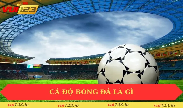 Chia Sẻ Cách Cá Độ Bóng Đá Luôn Thắng Từ Các Cao Thủ 1 Cá độ bóng đá là gì?