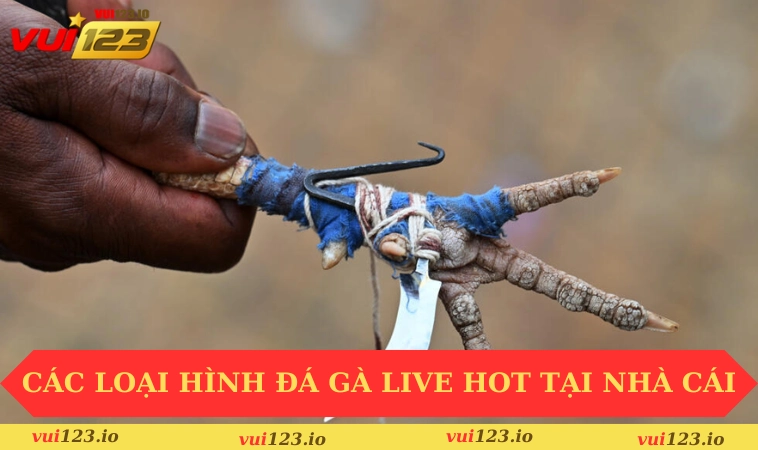 Đá gà VUI123 2 Các loại hình đá gà live hot tại nhà cái