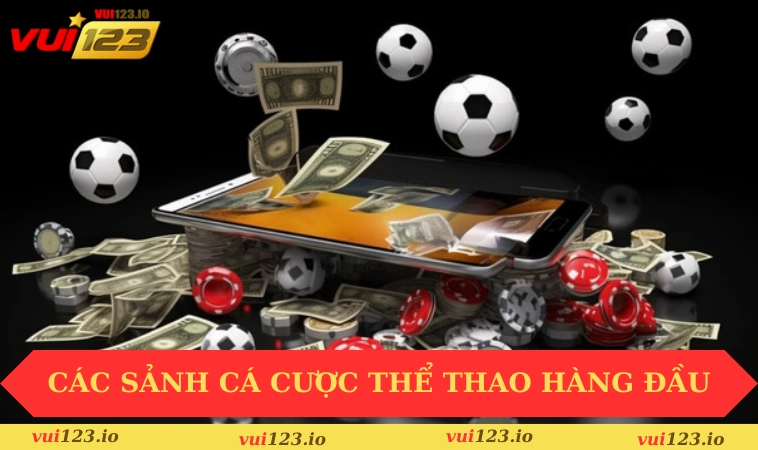 Thể Thao VUI123 2 Các sảnh cá cược thể thao hàng đầu