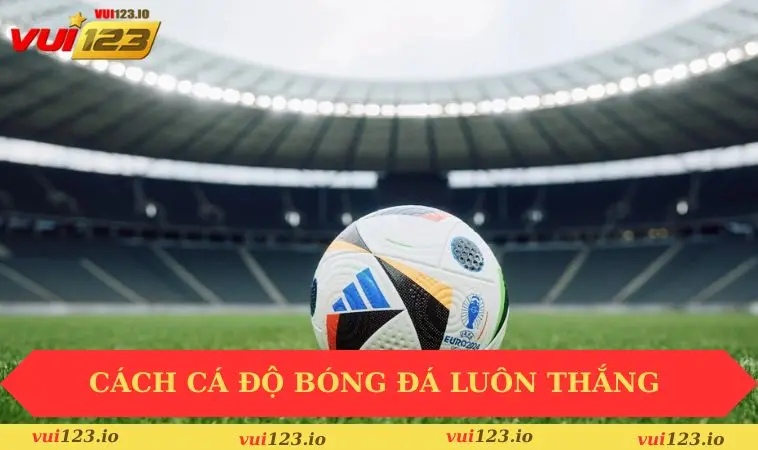 Cách cá độ bóng đá luôn thắng