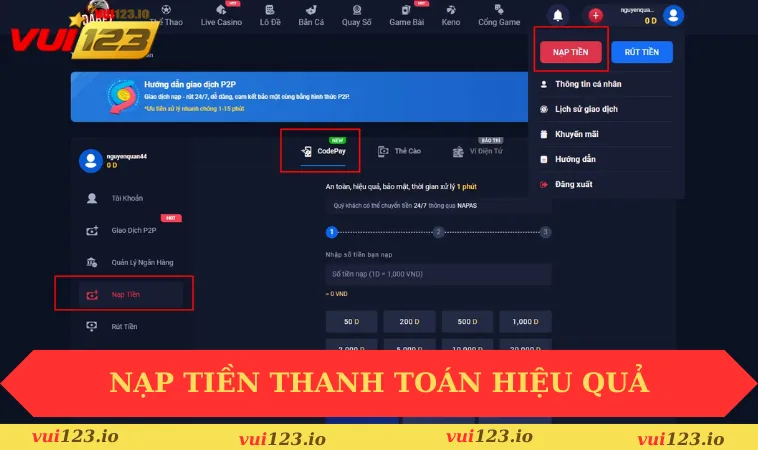 VUI123 33 Nạp tiền thanh toán hiệu quả theo hướng